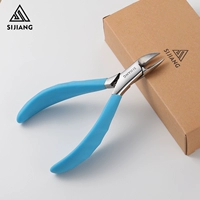 【Синий】 Орел рту плезок