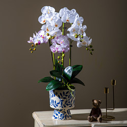 High-End Wet-Feel Phalaenopsis Orchid, High-End Artificial Floral Arrangement, Potted Plant Ornament, Flower Arrangement, Bionic Fake Flower, Table Decoration