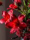 Magnolia Flower Decorations Are Suitable for the Living Room, High-End Artificial Flowers, New Year's Eve Flowers, Fake Dried Flower Bouquets, Flower Arrangement Art Decorations