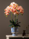 High-End Wet-Feel Phalaenopsis Orchid, High-End Artificial Floral Arrangement, Potted Plant Ornament, Flower Arrangement, Bionic Fake Flower, Table Decoration