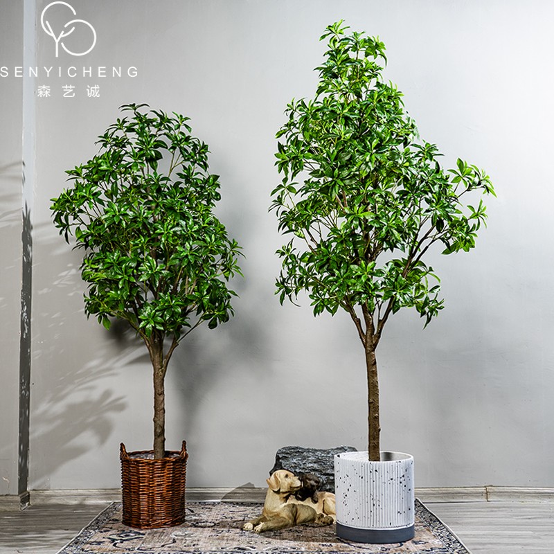 Senyi Cheng Large Emulation Plant Horse Drunken Wood Bionic Green Planting Indoor Pendulum Potted potted and fake tree decoration potted plant-Taobao