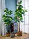 Nordic Style Artificial Green Plant Potted Tree for Indoor Living Room Window Display Floor Decoration Fake Tree Bonsai