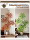 High-End Realistic Artificial Green Plants, High-End Light Luxury Nandina Bamboo Plant Potted Plants, Living Room Decorations, Floor-Standing Landscaping Fake Trees