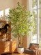 Artificial Green Plant Fortune Tree Large Living Room Floor-Standing Fake Tree Landscaping Potted Plant Indoor Decoration Landscape Ornament Antique Style
