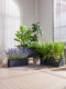 Rectangular Cement Magnesium Oxide Flower Box Combination Planting Box Outdoor Courtyard Balcony Shopping Mall Store Green Plant Flower Pot