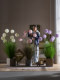 Light Luxury High-End Reed Grass Artificial Floral Arrangements, Green Plants, Fake Bouquets, Fake Trees, Living Room Decorations, Landscaping, Floor-Standing Decorations