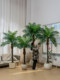 Tall, High-End, Light Luxury Artificial Coconut Tree, Fake Coconut Tree, Sunflower Palm, Green Plant, Bionic Indoor and Outdoor Fake Tree