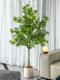 Large Artificial Yew Tree, Faux Green Plant, Bionic Plant Potted Plant, Indoor Living Room Window Display, Landscape Floor-Standing Ornament