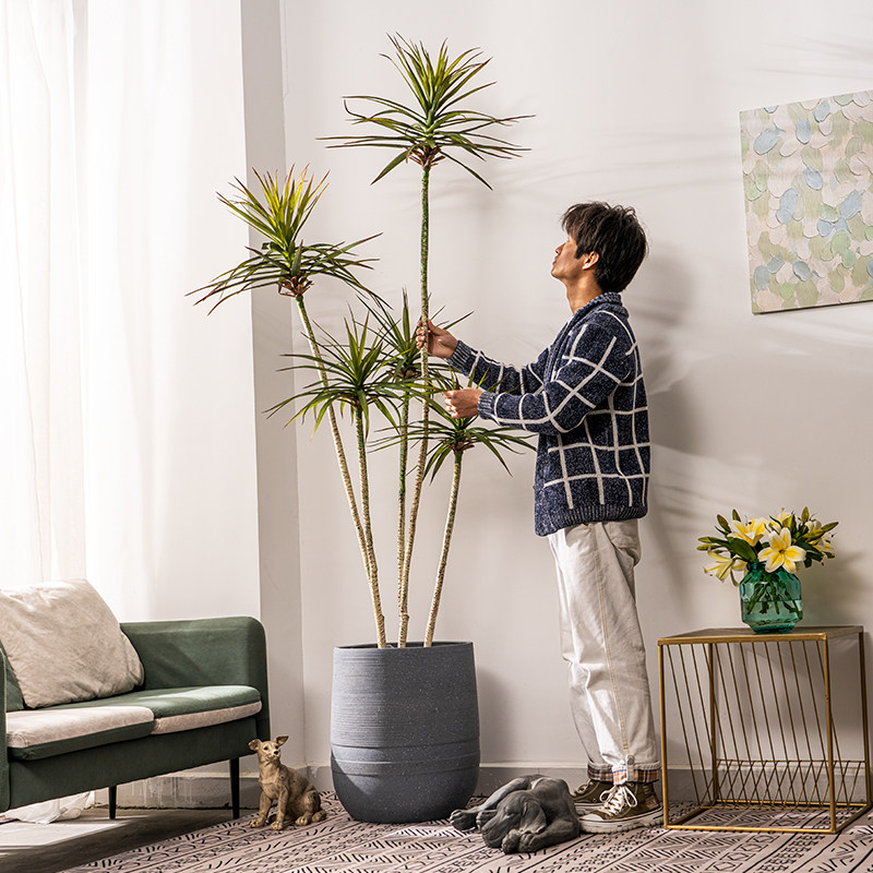 Large Emulation Tropical Plant Millennium Wood Dragon Blood Tree Indoor Living Room Store Bionic Green Planting Fake Tree Landing Potted Plant-Taobao