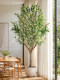 Large High-End Artificial Green Plant Olive Tree Fake Tree Living Room Indoor Landscaping Ornament Potted Plant Olive Tree