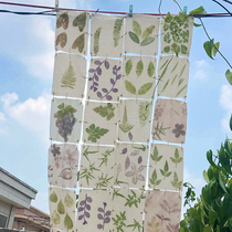 Childrens plant rubbing handmade diy material package tool set rubbing painting intangible cultural heritage leaf dyeing kindergarten