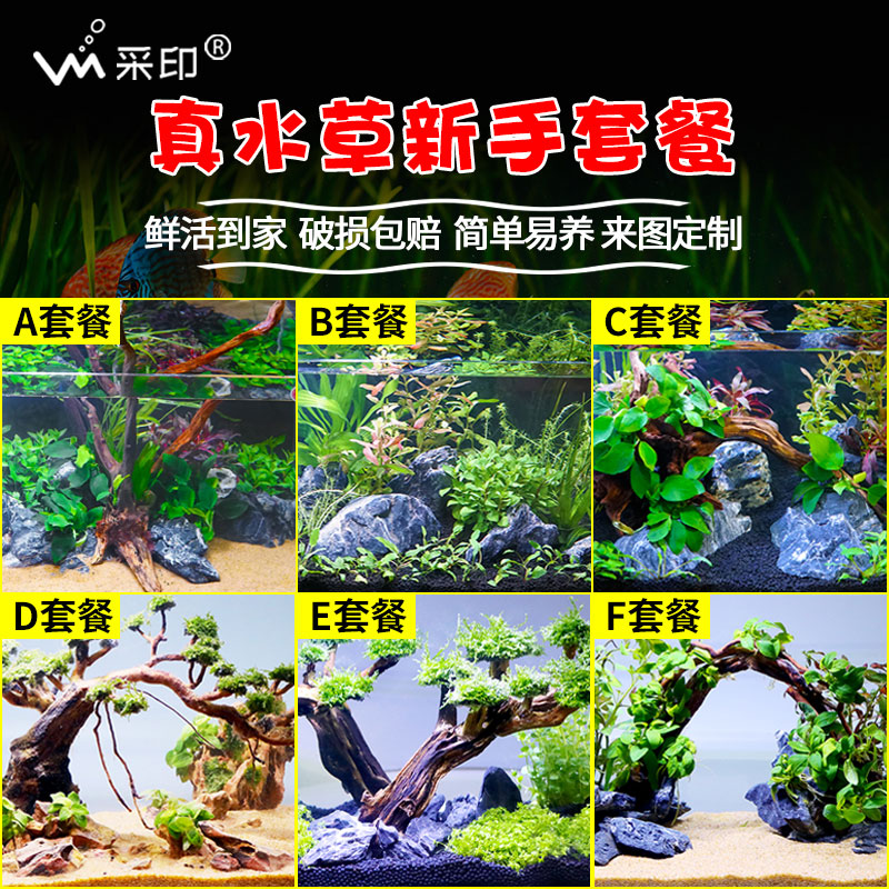 Fish tank water grass mud plant set real grass live oxygenation negative sinking wood lazy grass tank landscaping lazy package