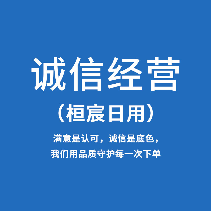 桓宸汽车用品企业店的LOGO
