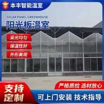 Agricultural vegetable planting sunshine panel greenhouse pc sunshine panel breeding greenhouse greenhouse hollow sunshine panel ecological greenhouse
