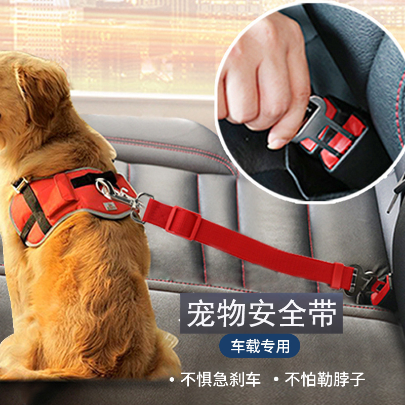 犬用シートベルト ペット用 車用 小物 小型犬 中型犬 テディ カーシートベルト 用品 車用安全バックル