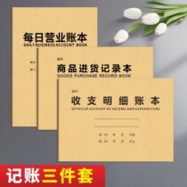 Customized link to shoot daily business ledger cash general entry and exit details revenue and expenditure flow financial registration