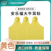 Желтое не -слово 100 платеж