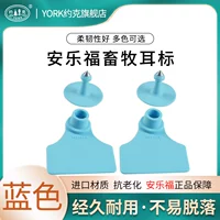 Синий не -слова 100 платеж