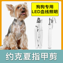 Yokha special dog nail clippers nail clippers nail clippers Pet Photo blood line with lamp New hand special