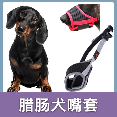 [腊肠犬专用狗嘴套防咬叫可喝水防乱吃口罩宠物止吠器小型狗嘴罩]
