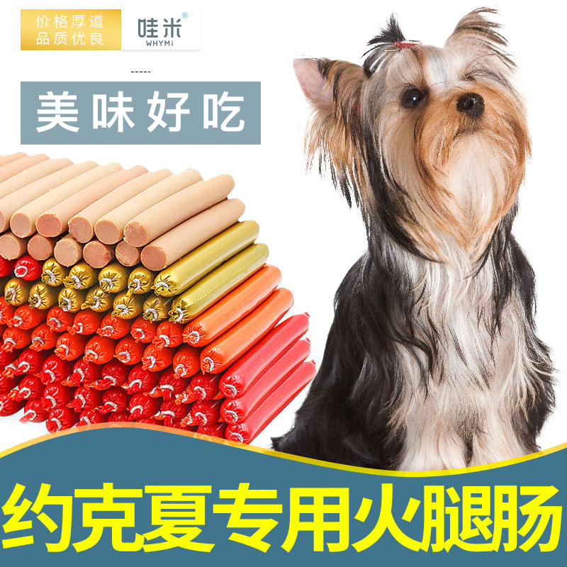 Yorkshire Special Snack Ham Sausage Puppies Pet Dogs Eat 2 Months Calcium Milk Dogs