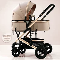 Местное управление тираном золота калифорнийского солнца с четырьмя колесными резинами