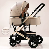 Местный тиран золотой и алюминиевая труба Калифорнийская солнечная луча.