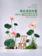 Shopping Mall Commercial Decoration, Artificial Lotus Photo Props, Indoor and Outdoor Event Atmosphere Setup, Fake Lotus Leaf Decoration and Landscaping