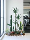 Simulated cactus landscaping ornaments, large creative plant combinations, indoor entrance green plants, cactus column decorative ornaments
