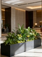 Artificial Green Plants for Indoor and Outdoor Landscaping, Decorative Pieces for Window Displays and Partitions, Floor-Standing Plant Landscape Arrangements