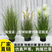 Simulated reed grass dog tail grass single branch dried flower arrangement vase decoration internet celebrity fake flower landscaping window display arrangement