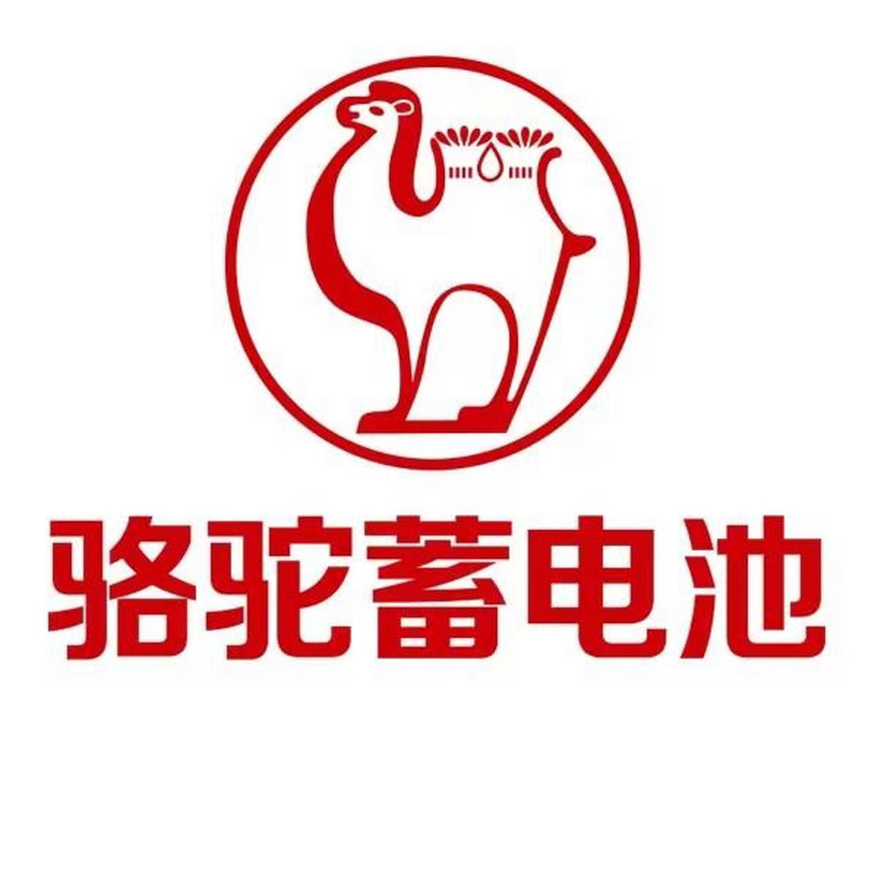 骆驼工厂蓄电池品牌店