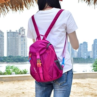 Красная роза