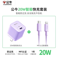 [Misty Purple] 20W Автоматическое питание отключено костюм