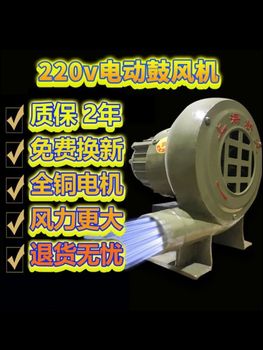 Xinlong blower ຂະຫນາດນ້ອຍ 220v ພະລັງງານສູງທີ່ມີຄວາມໄວສູງສາມາດປັບໄດ້ ພັດລົມໄຟຟ້າ barbecue ໄມ້ເຕົາໄຟຄົວເຮືອນ