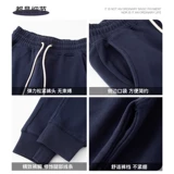 Качественные синие спортивные весенние штаны для отдыха, свободный крой