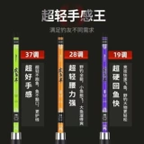 Карп-стерспет