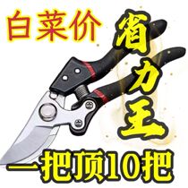 (Long-saving King) German imported steel tree shears fruit tree shears pruning scissors household flowers and trees grape picks and axes