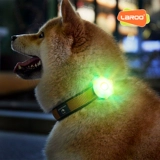 Laroo Laeno Aurora Ночью, выгуливаясь по собачьим огням, светодиодные поставки воротнич