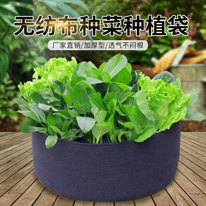 Non-woven tree planting bag planting bag beauty planting bag thickened fruit seedling nursery nutrition bag fruit tree bag