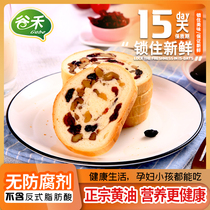 Guhelieba Russian Nut Bread Students Pregnant Women and Children Healthy No Added Nutrition Breakfast Toast Meal Replacement