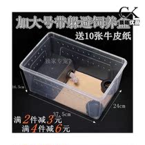 Host Crab Water Basin Reptile Reptile Rearing box to hide from the view cave Coconut Shell Centipede Mantis Spider scorpion