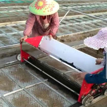 Rice seeder transplanter seedling cultivator soil-covered rice field device seedling cultivator paddy field seedling cultivator seedling tray greenhouse belt)