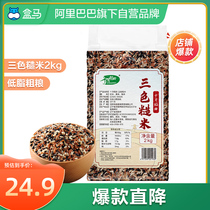 Box horse October rice field three-color brown rice 2kg black rice red rice coarse grain grains coarse fiber satiated goods