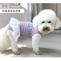 ХАОРИЧЕСКИЕ ПЕРСОВЫЕ ПЕРВА