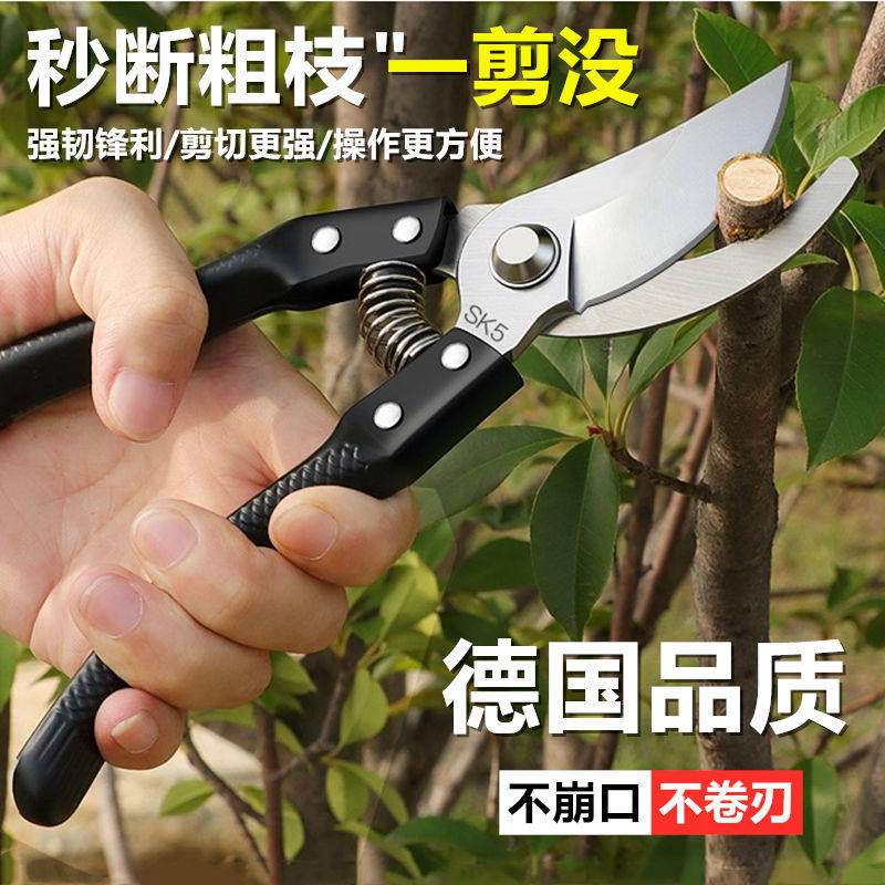 Coarse Branches fruit tree prunes Pruning Scissors Gardening Pruning Twigs Garden labor-saving pruner prunes Home Flowers fruit branches Cut
