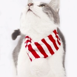 Весенний фестиваль Новый год рождественский зимний шарф плетения плетения полосатые кошки и собака Золотой Мао