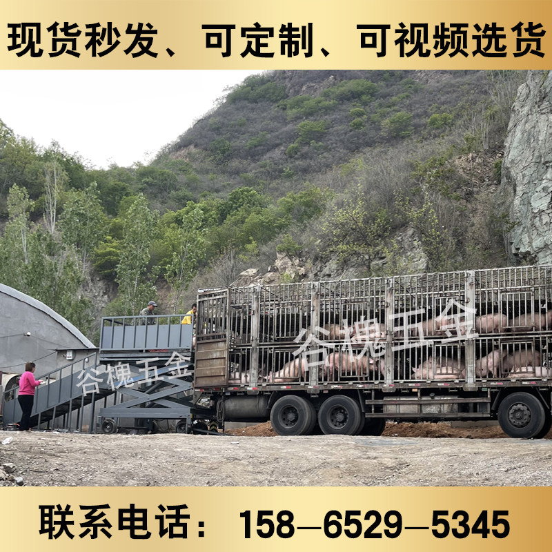 Pig Table Mobile Pig Table Pork Table Electric Hydraulic Out Pig Lift Road Campaign Farm Cattle Table