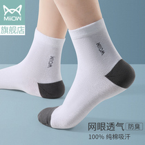  Cat people socks mens pure cotton summer thin mid-tube summer sports moisture wicking breathable white cotton stockings