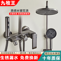 Gun gray shower head set household all-copper shower shower head bathroom toilet supercharged large nozzle